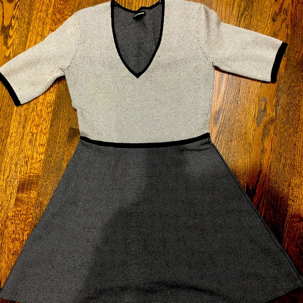 Club Monaco knit skate dress - like new!!